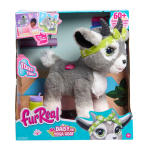 Concentra – Fur Real – Daisy, A Cabrinha do Yoga