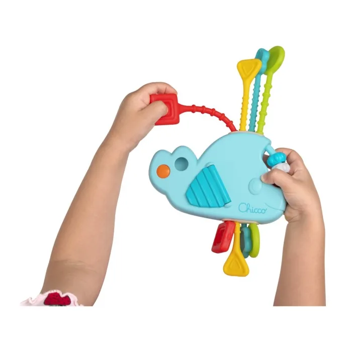 Chicco – Baleia Puxa e Descobre - Image 4